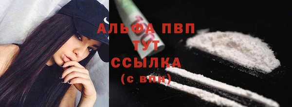 прущие грибы Богородицк