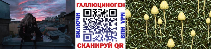 блэк спрут ссылки Купино площадка как зайти дарнет шоп Псилоцибиновые грибы ЛСД